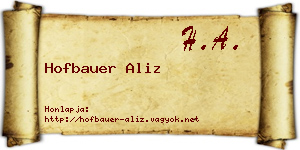 Hofbauer Aliz névjegykártya